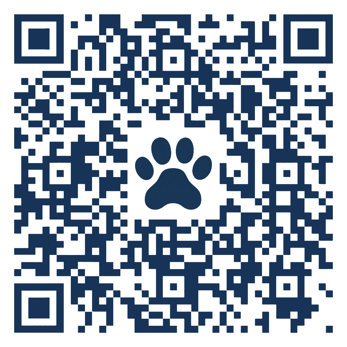 PayPal QR code for Detroit Hearts & Hounds